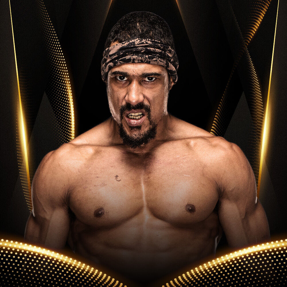 AR Fox